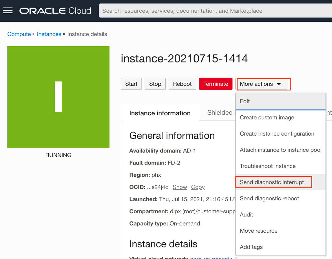 How to Generate a Non-Maskable Interrupt (NMI) in Oracle Cloud ...