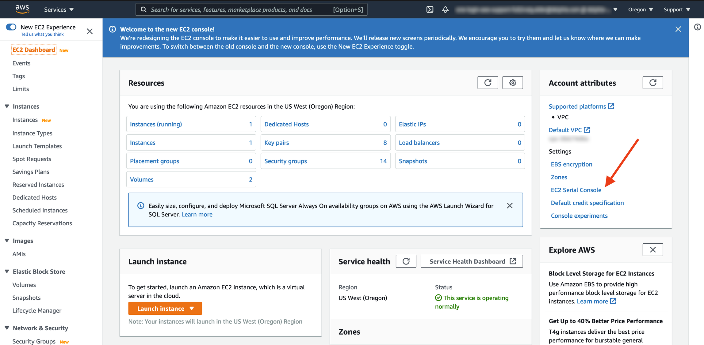 Accessing the Delphix Engine Console in AWS (KBA7306)