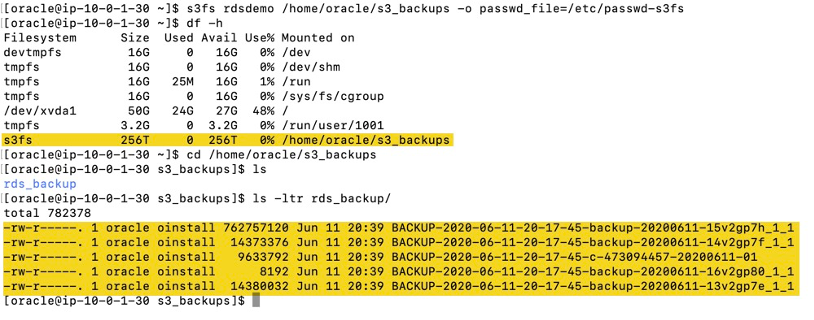 AWS Oracle RDS Virtualization with Delphix